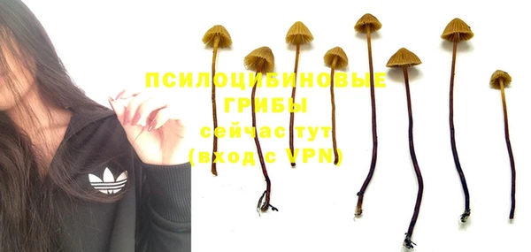 PSILOCYBIN Абаза